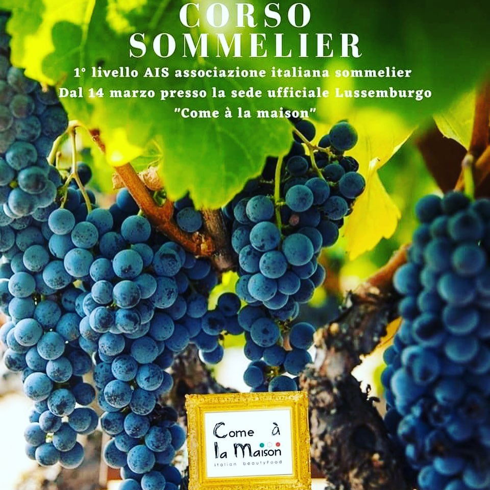 COURS SOMMELIER